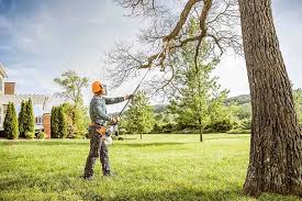  Heritage Village, CT Tree Care Pros